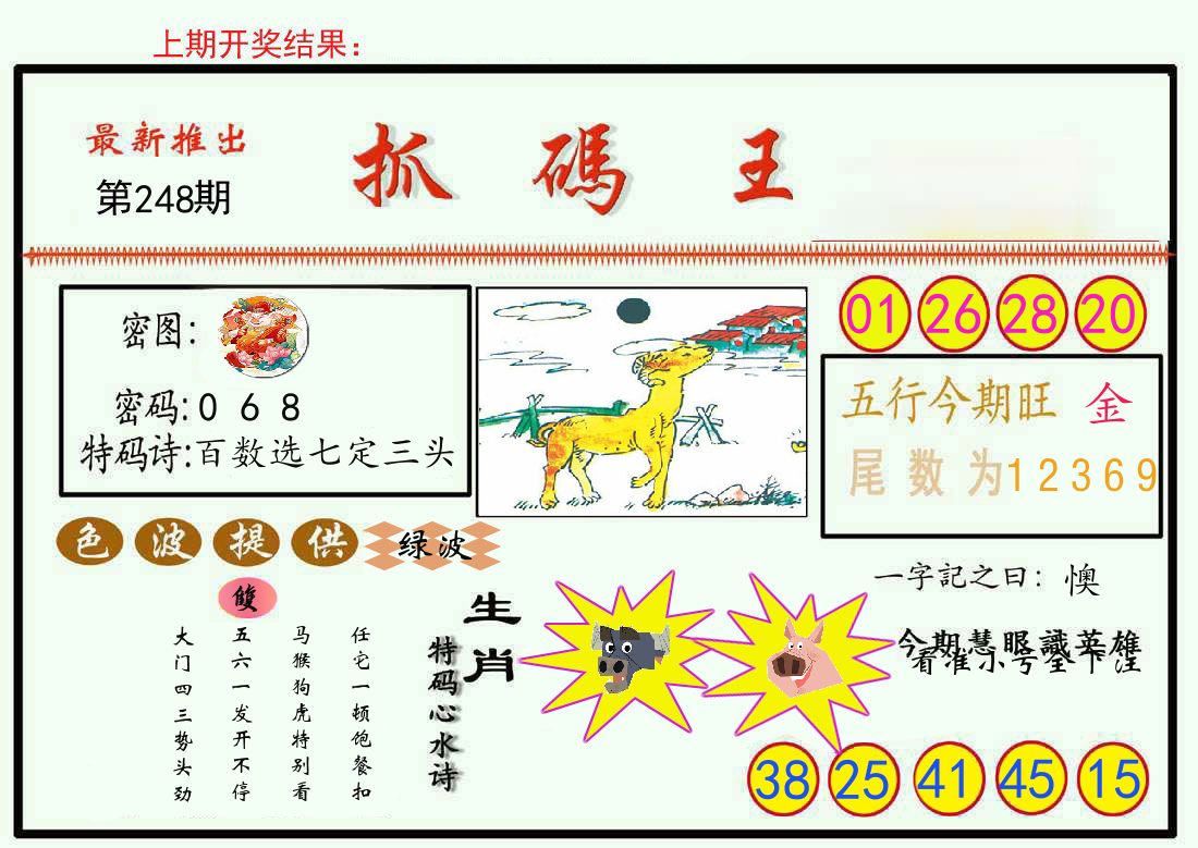 最新抓码王 第248期