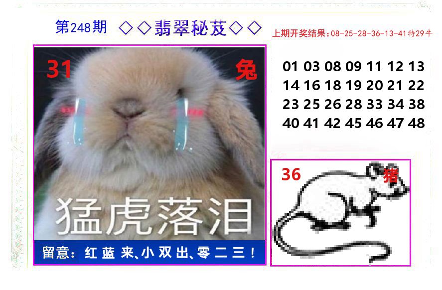 翡翠秘芨 第248期
