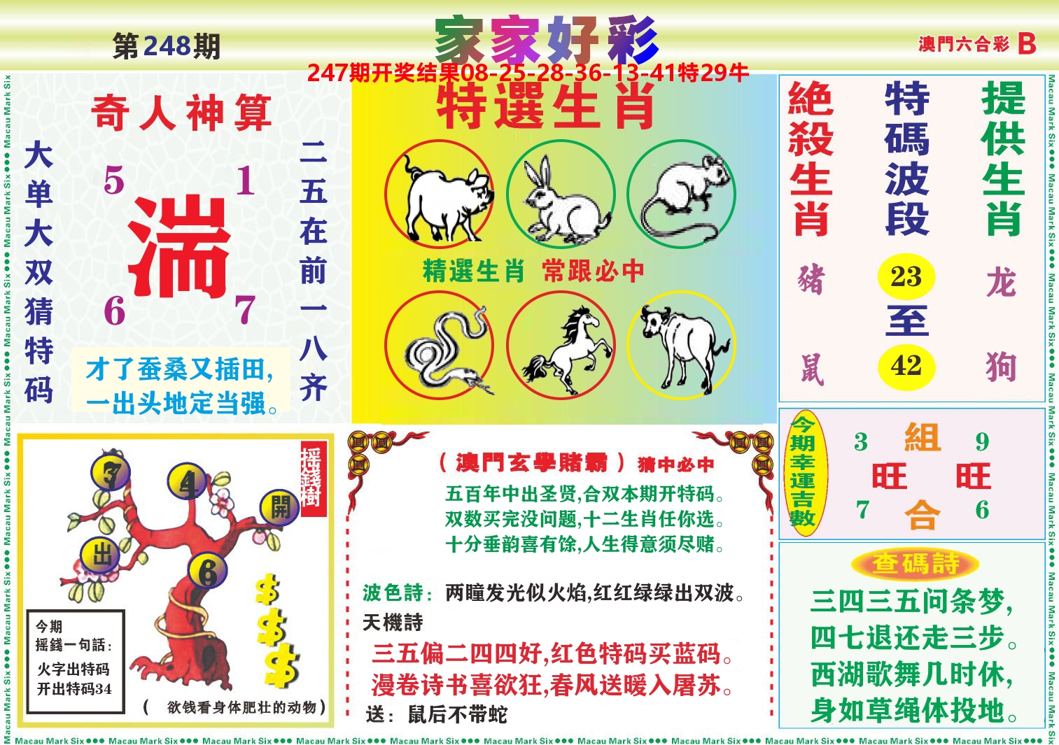 家家好彩B 第248期
