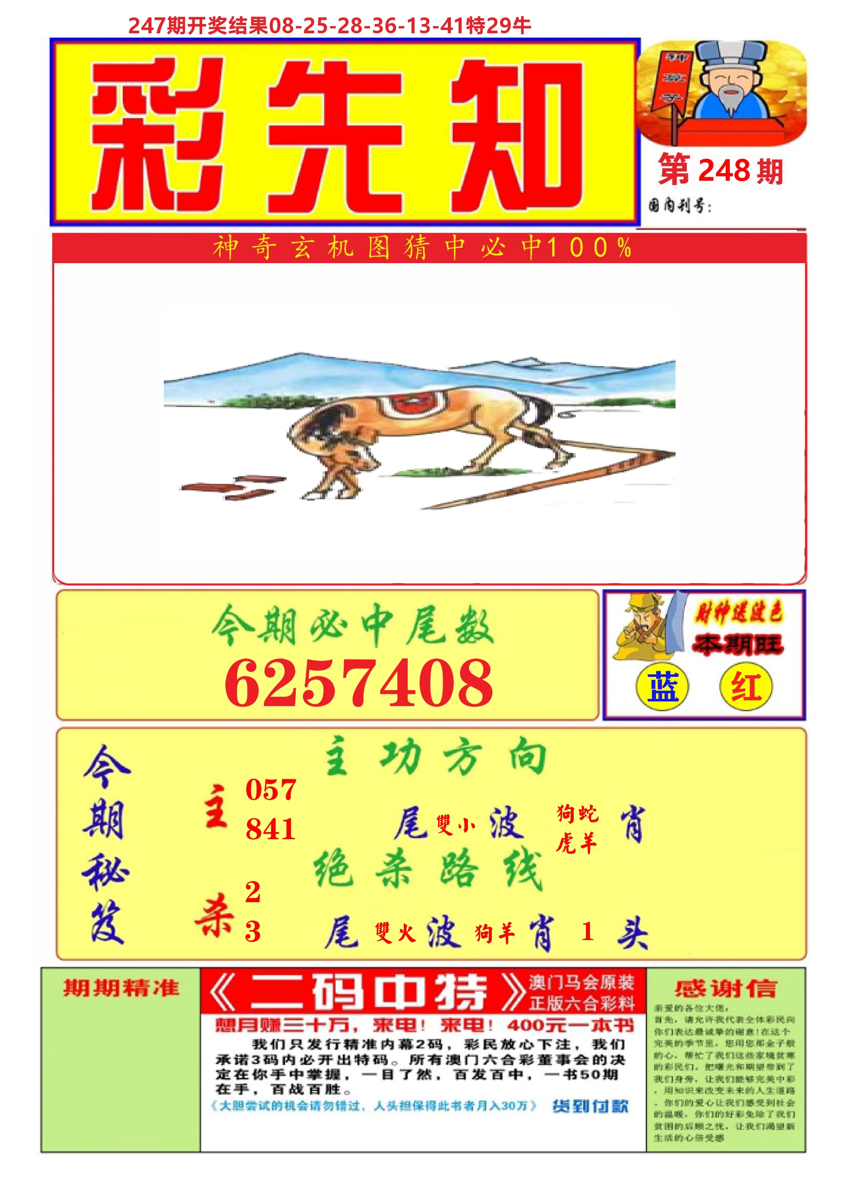 澳门彩先知A 第248期