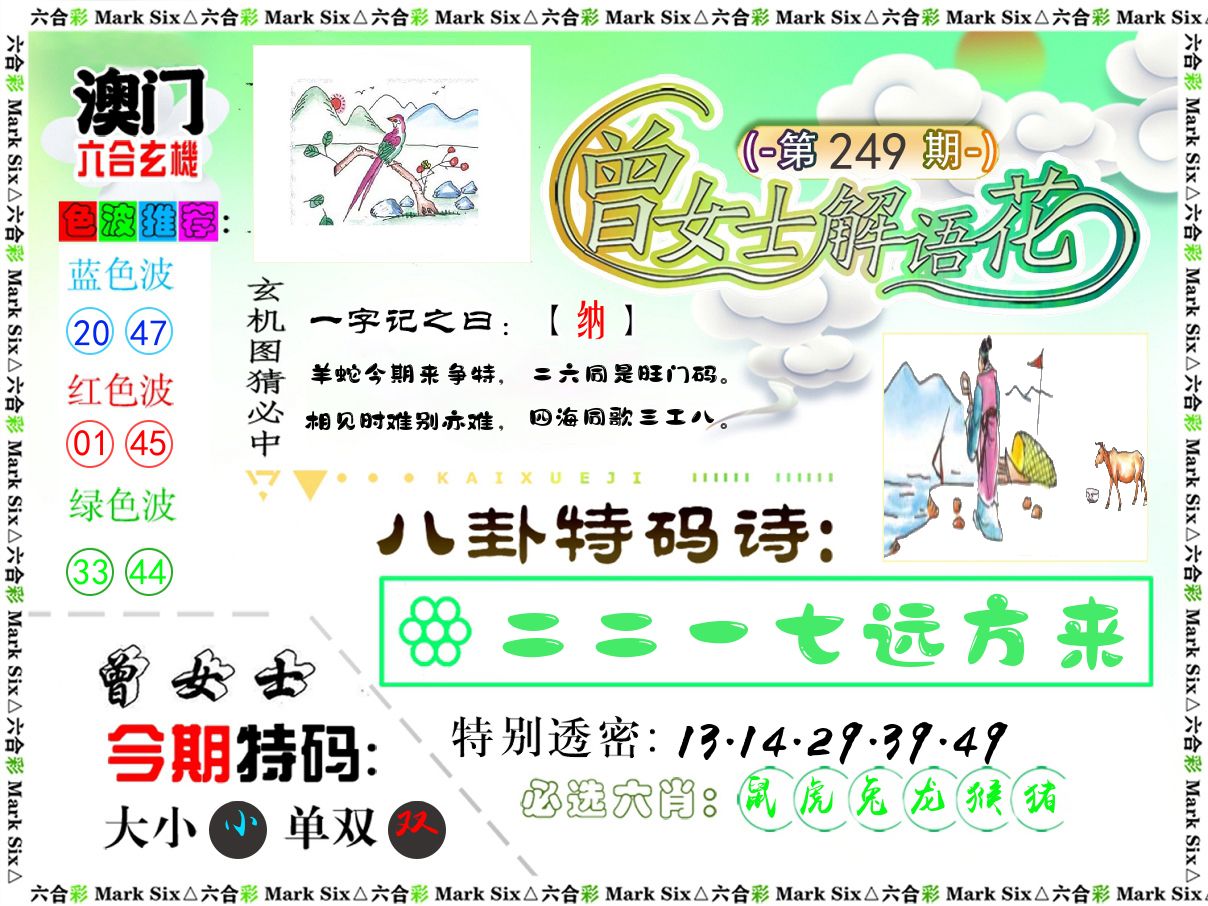 曾女士解语花 第249期