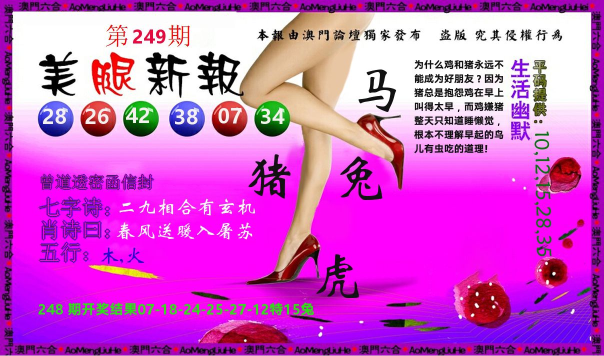 美腿新报 第249期