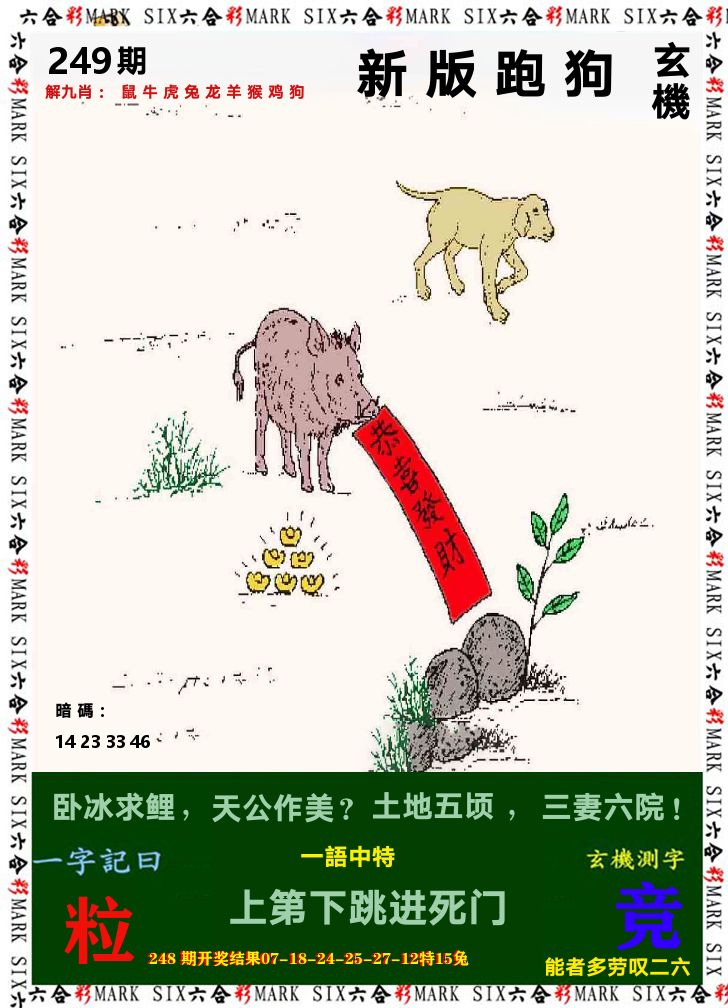 悟入其图 第249期