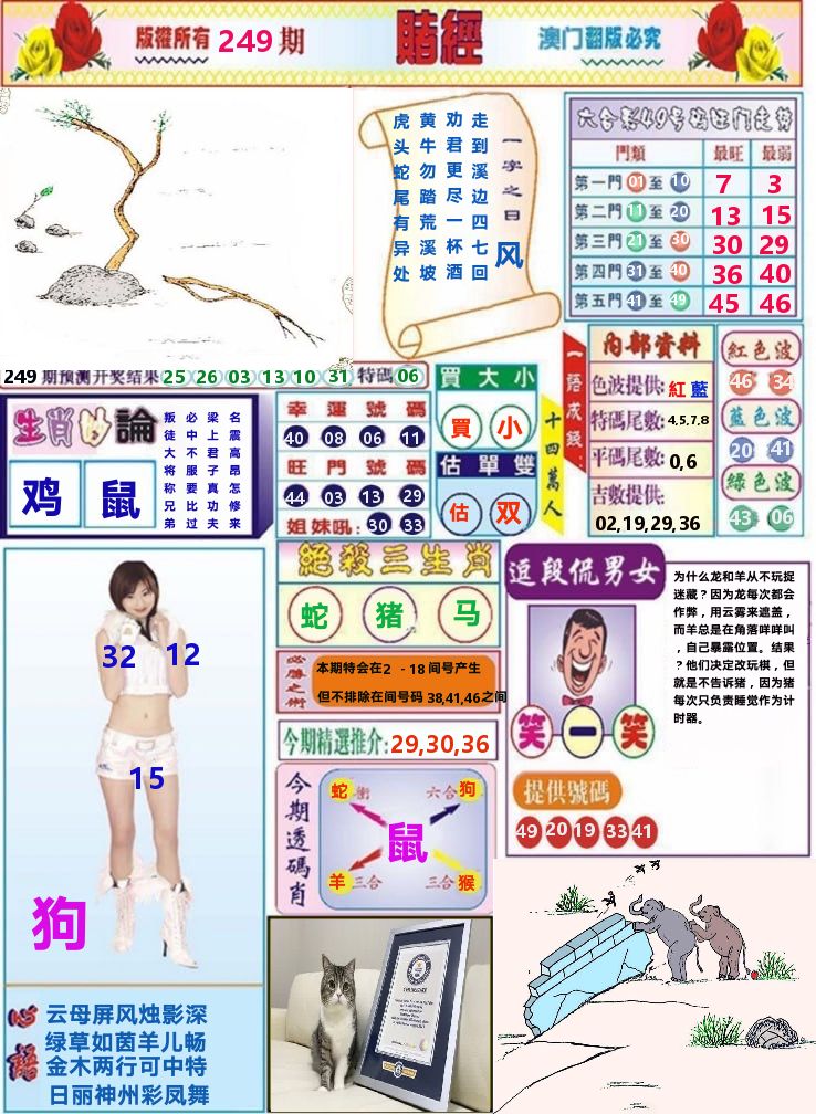 澳门赌经 第249期