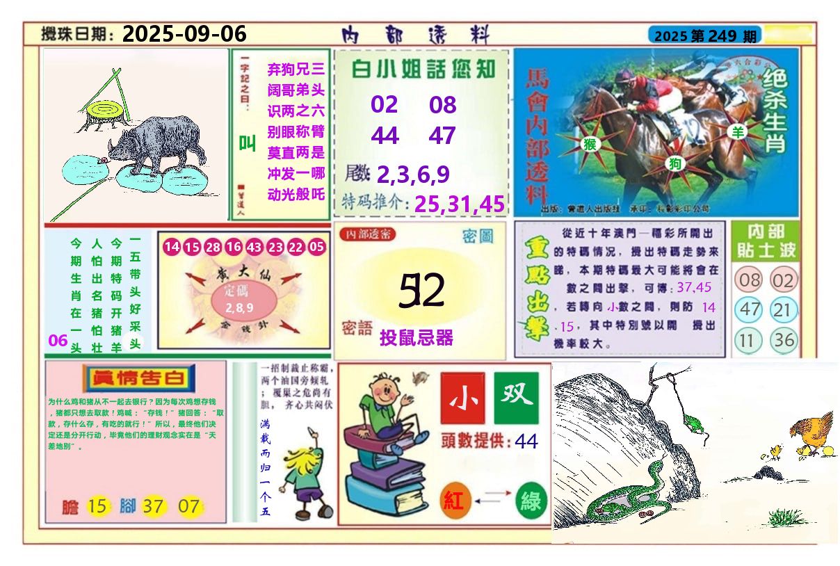 澳门内部透料A 第249期
