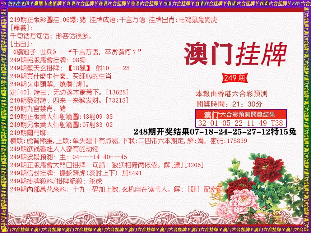 澳门挂牌 第249期