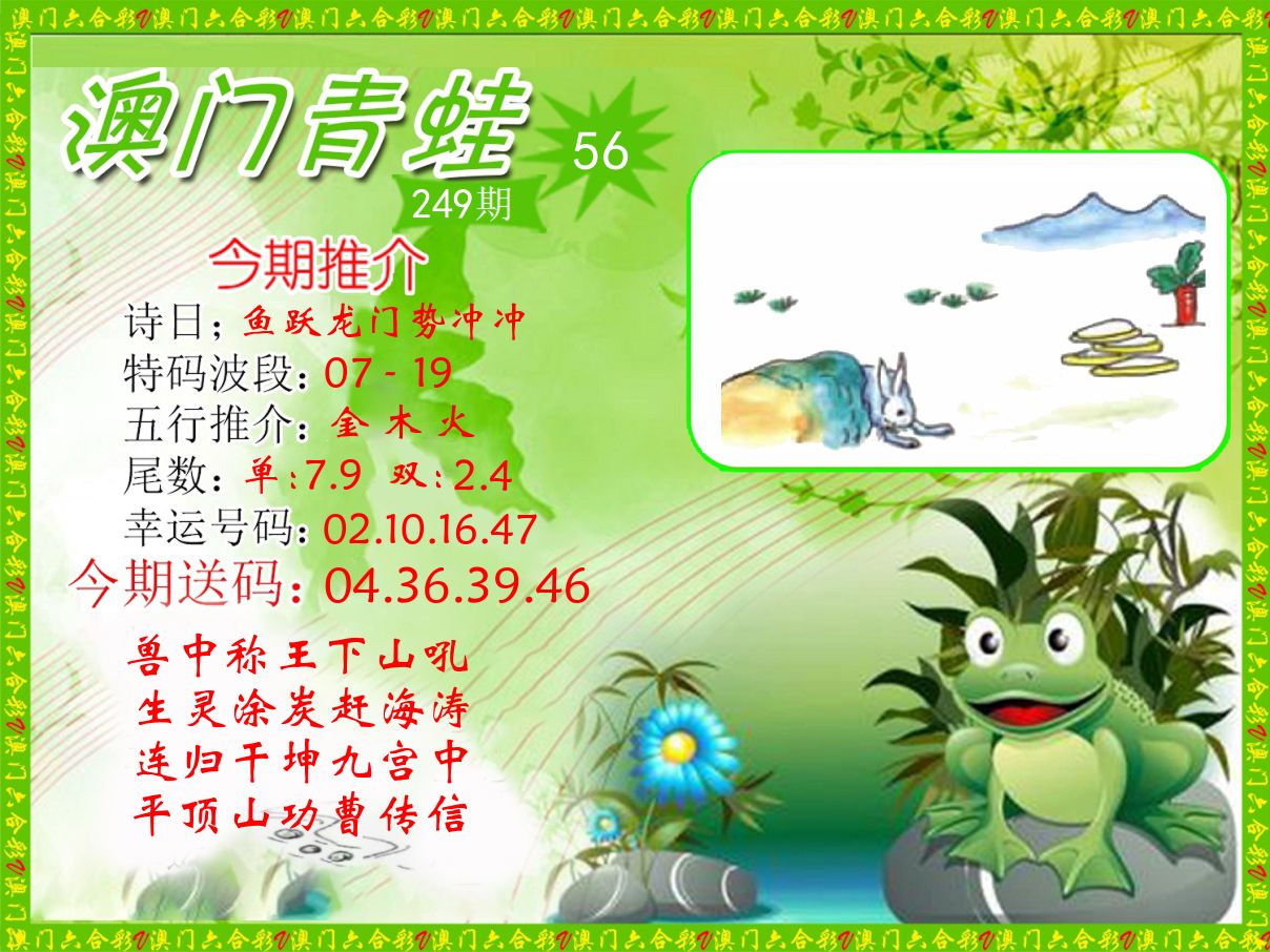 青蛙系列56 第249期