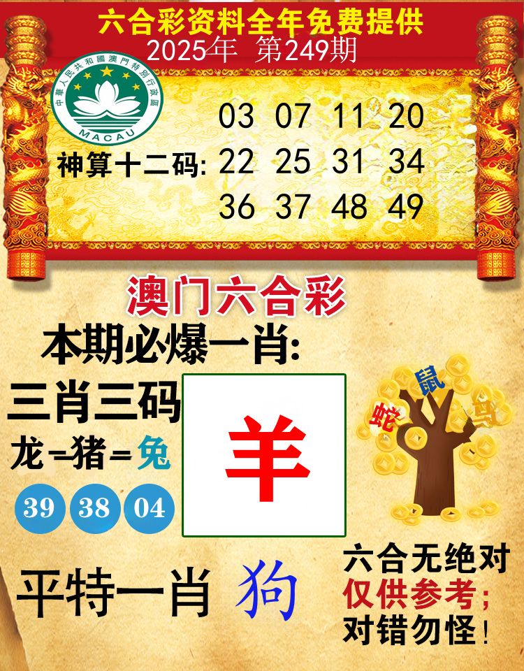 澳门必爆 第249期