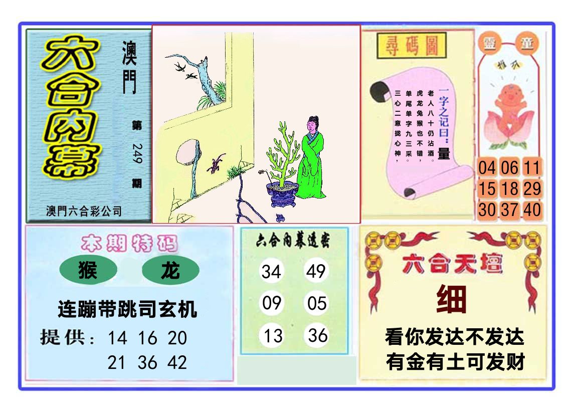 六合内幕 第249期