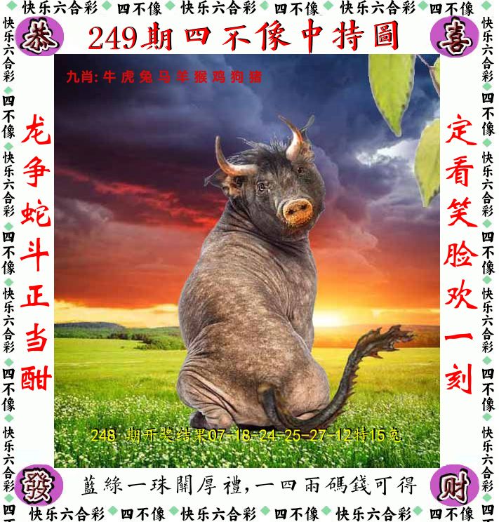 四不像 第249期