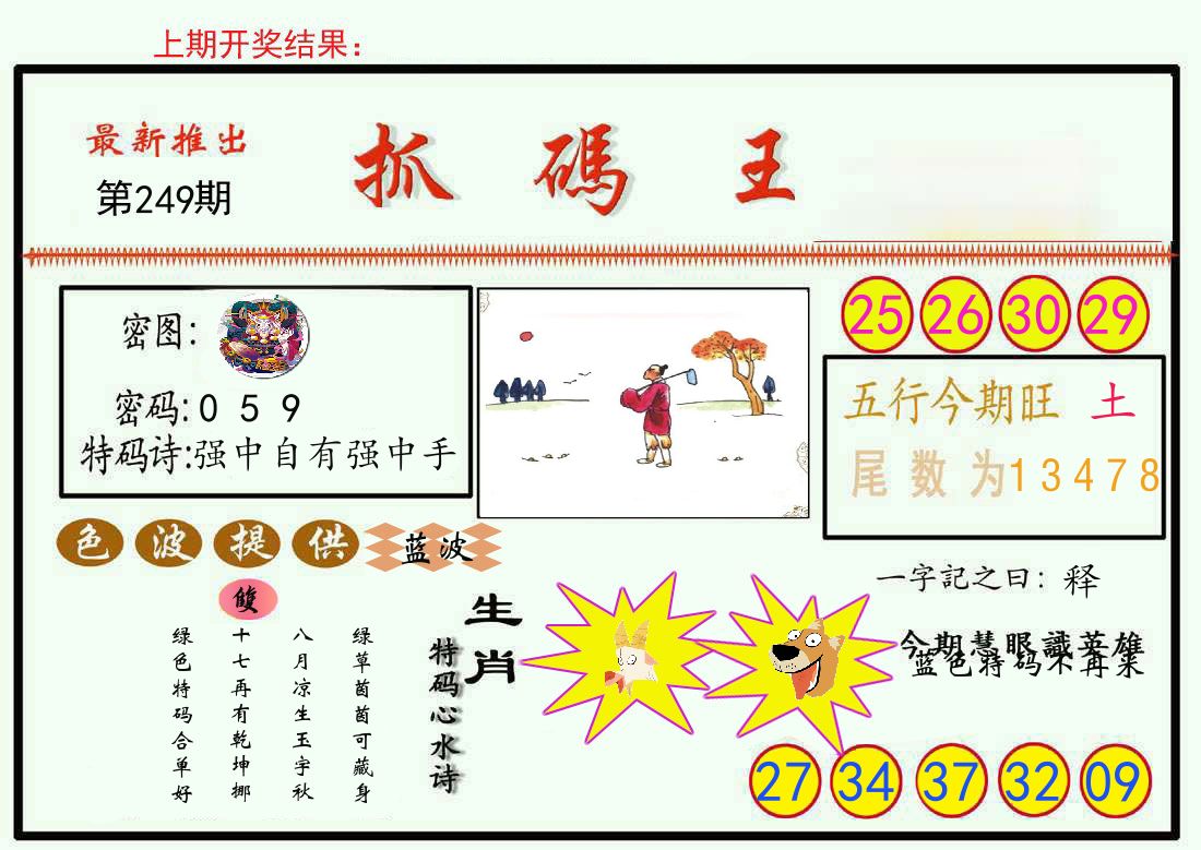 最新抓码王 第249期