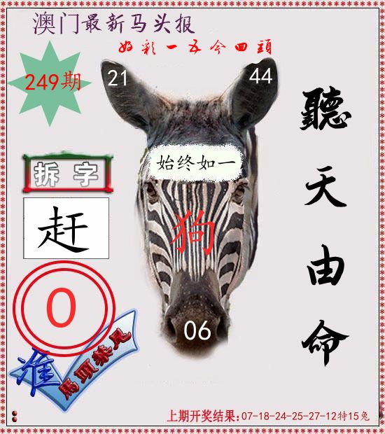 马头报 第249期