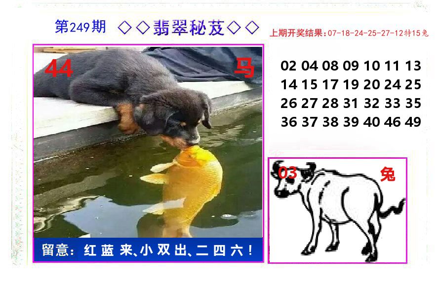 翡翠秘芨 第249期