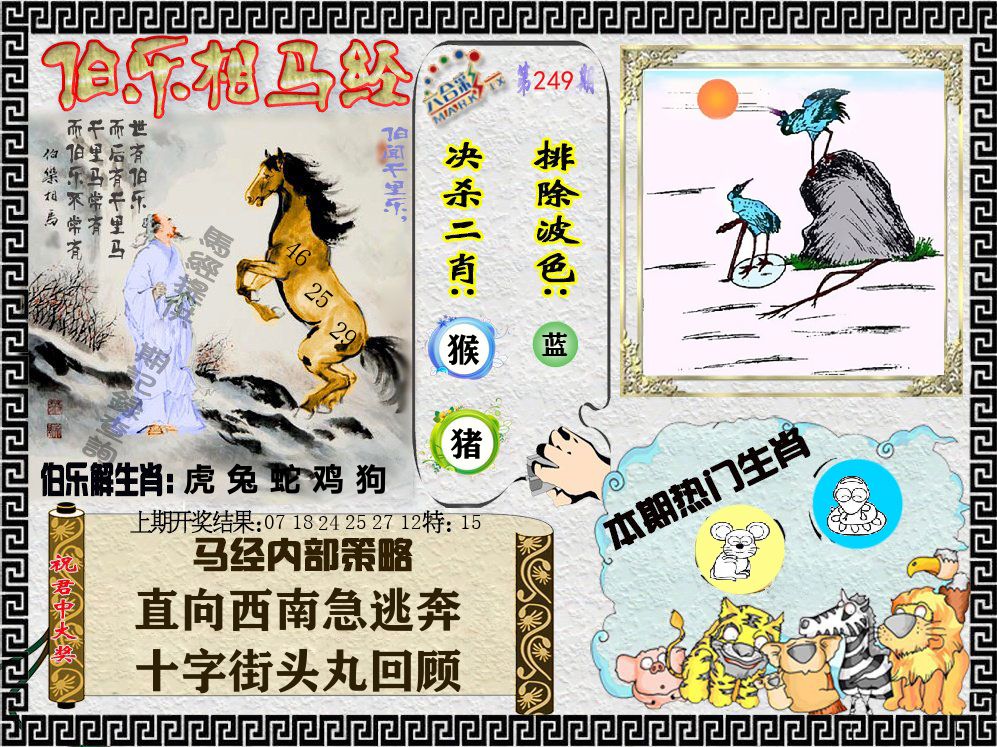 伯乐相马经 第249期