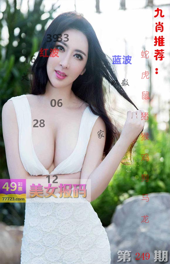 美女报码 第249期