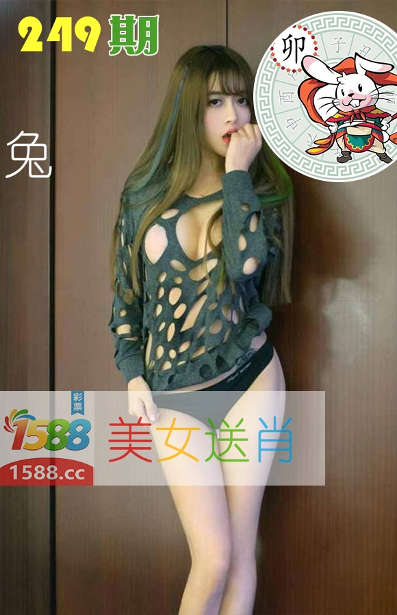 美女送肖 第249期