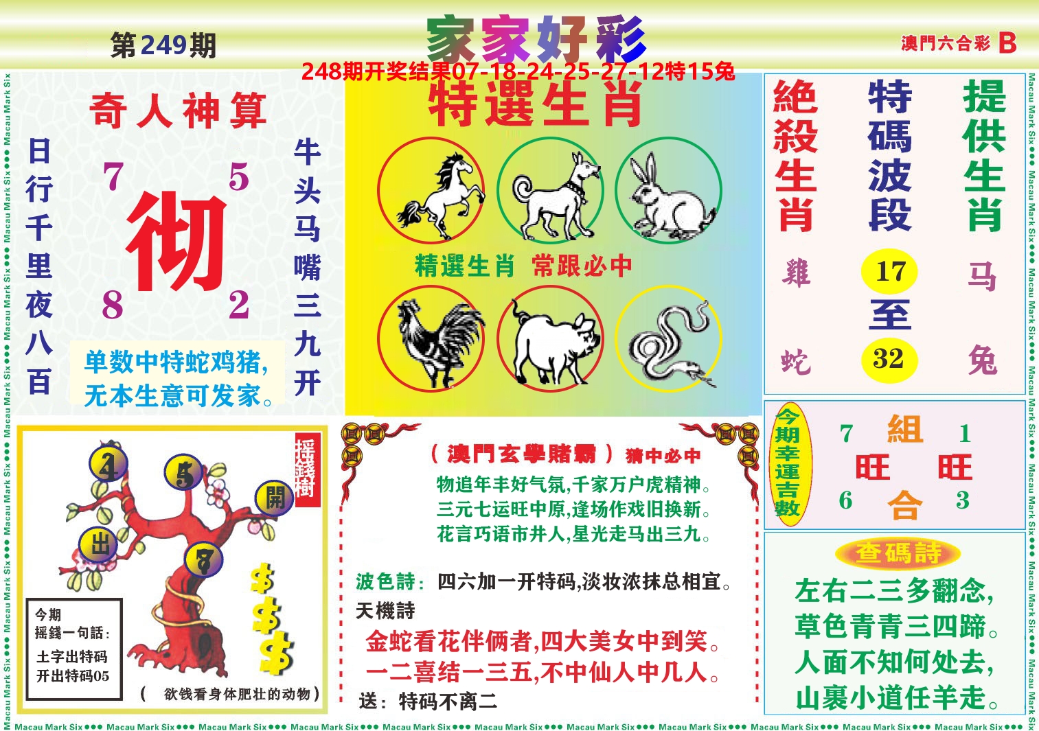 家家好彩B 第249期