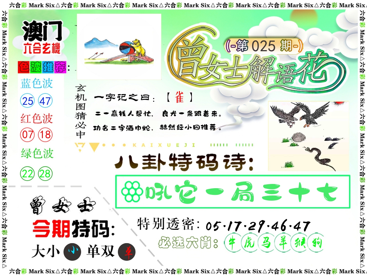 曾女士解语花 第25期