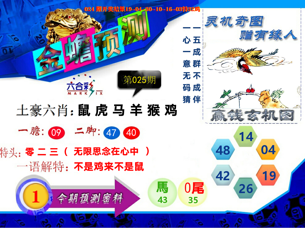 金蟾预测 第25期