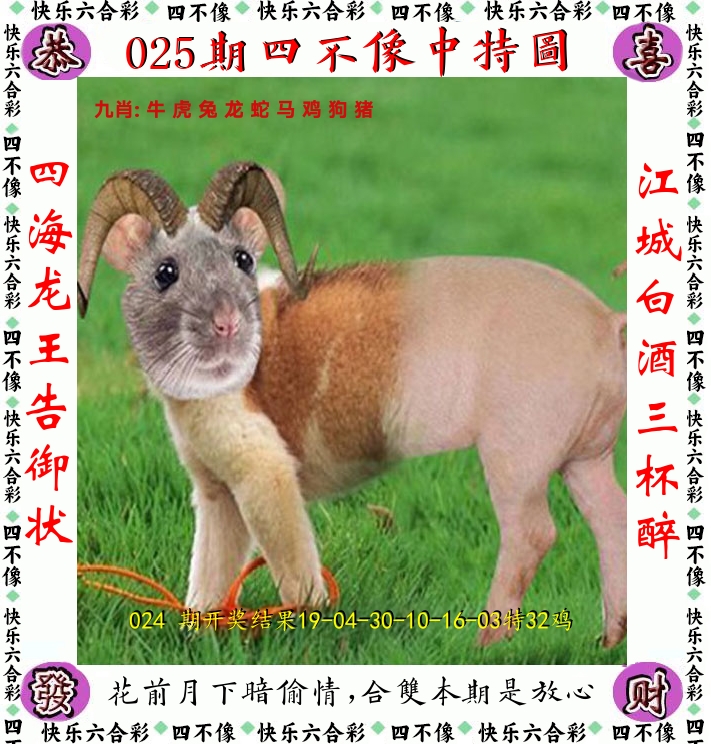 四不像 第25期