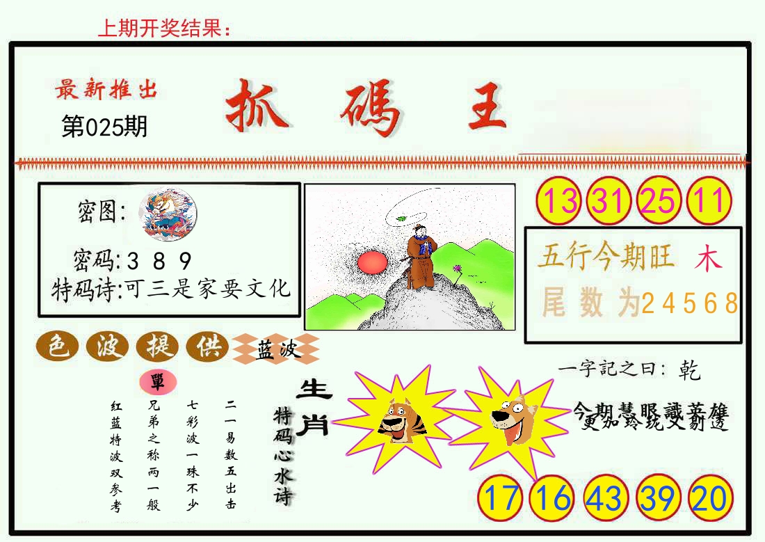 最新抓码王 第25期