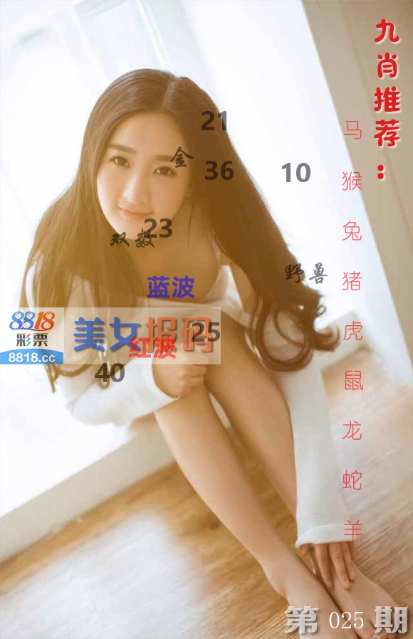 美女报码 第25期