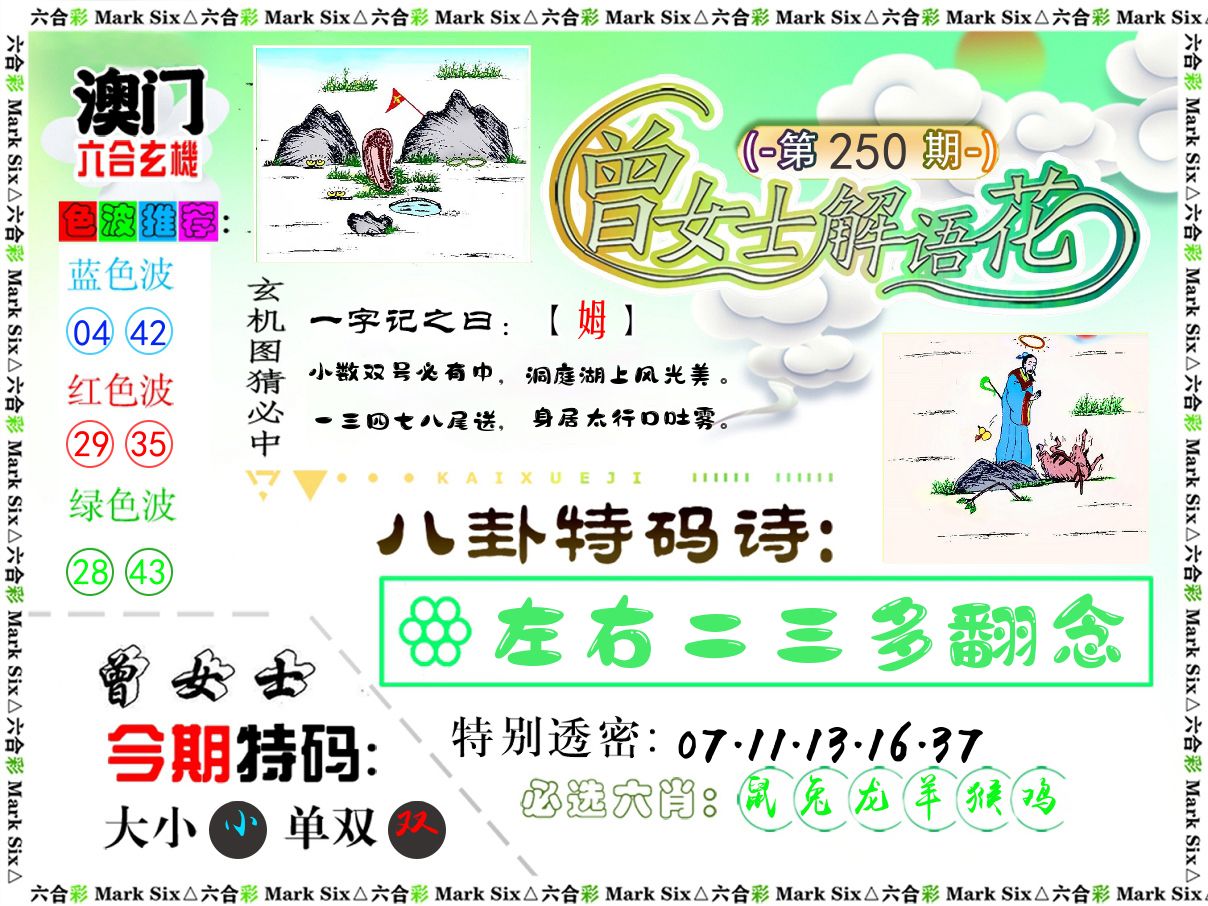 曾女士解语花 第250期
