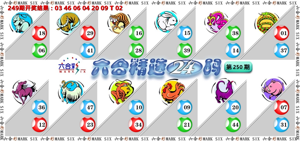 六合精选24码 第250期