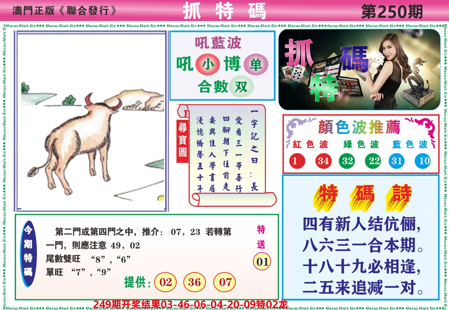 澳门抓特码A 第250期