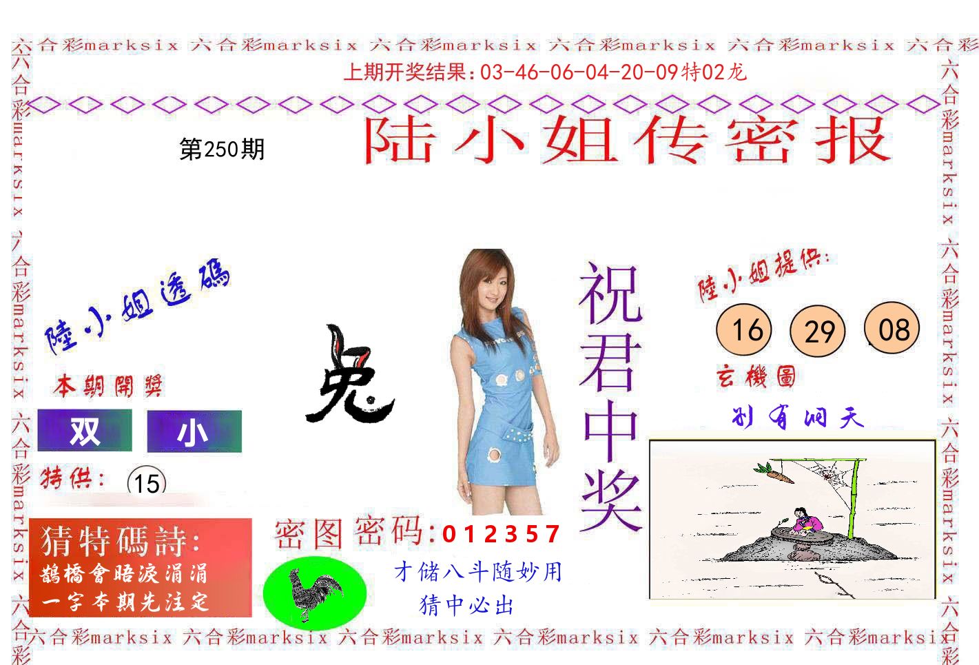 陆小姐密报 第250期