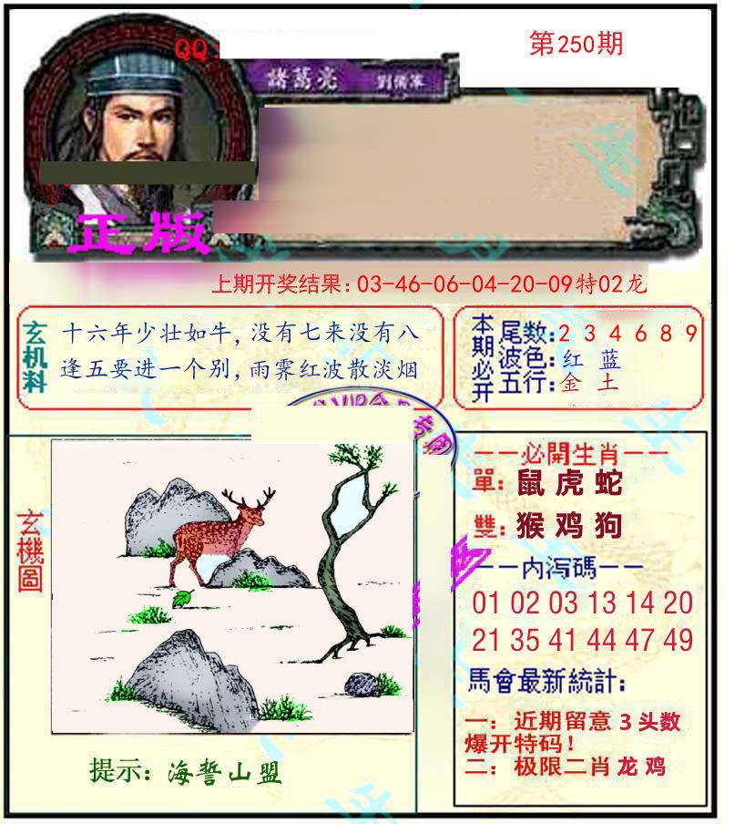 诸葛亮玄机 第250期