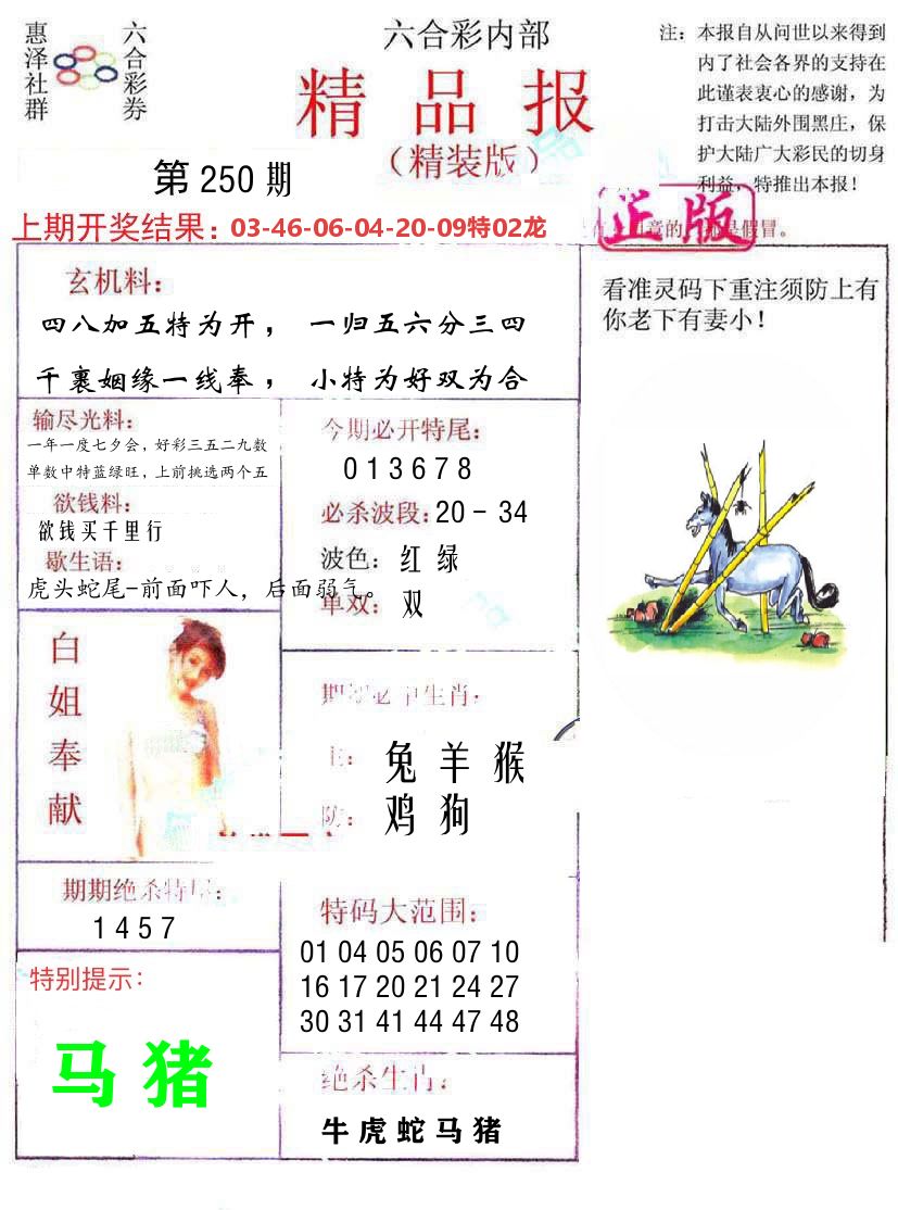 精品报 第250期