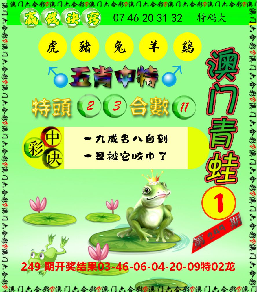 青蛙系列1 第250期