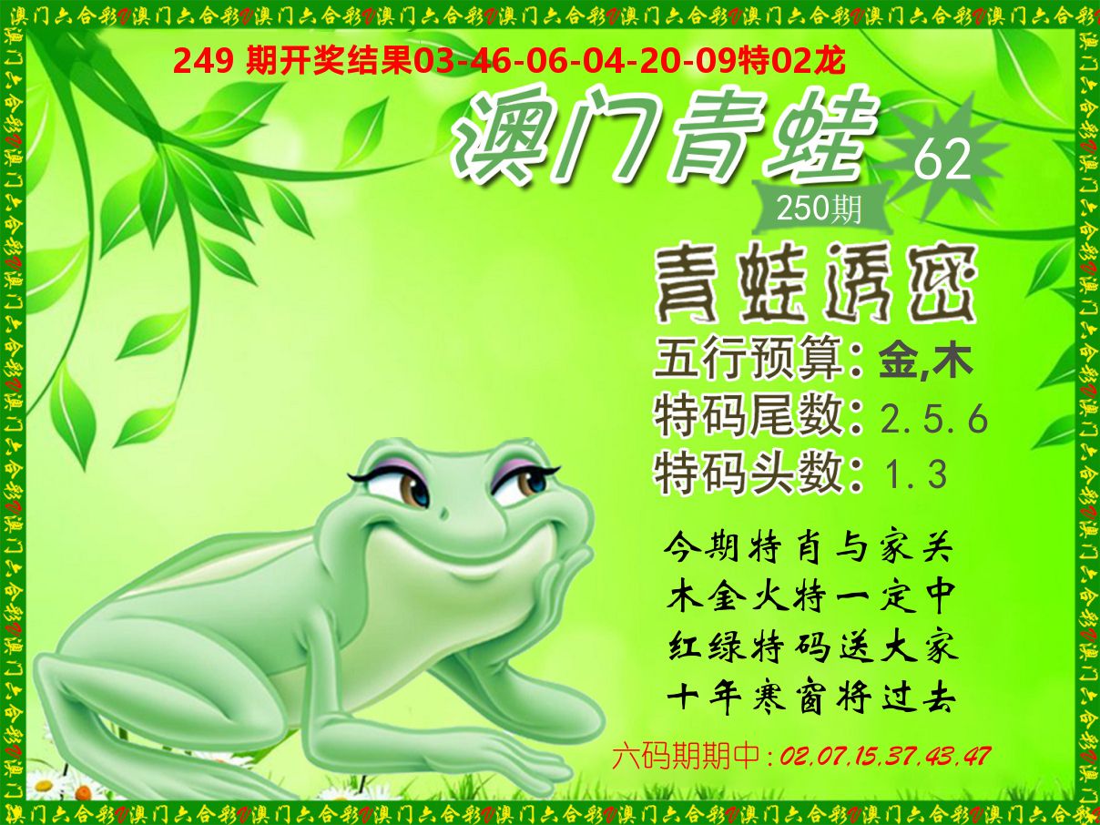 青蛙系列62 第250期