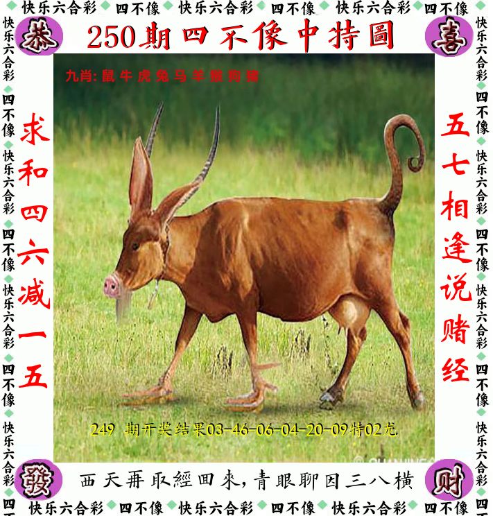 四不像 第250期