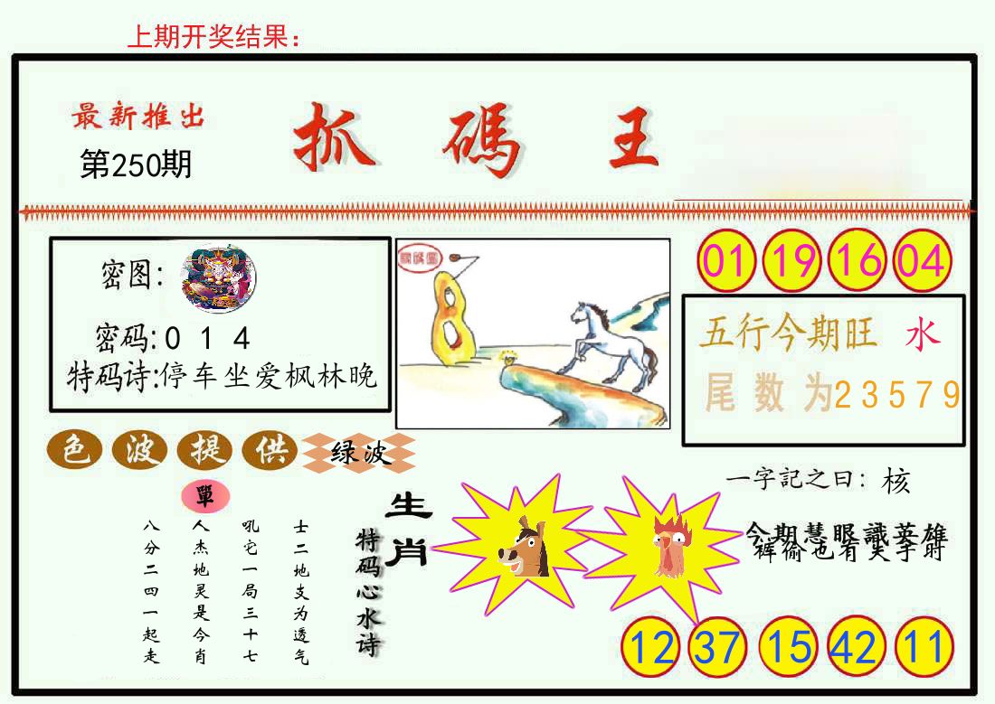 最新抓码王 第250期