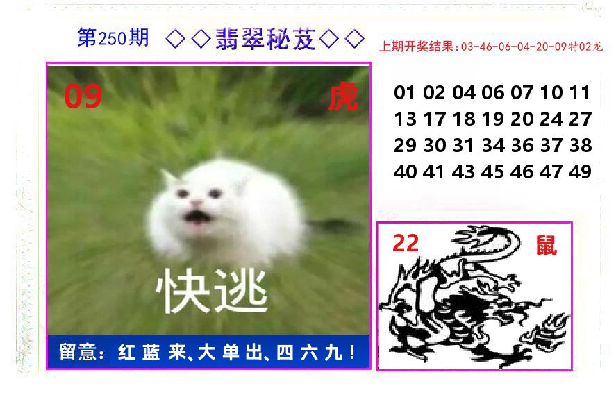 翡翠秘芨 第250期