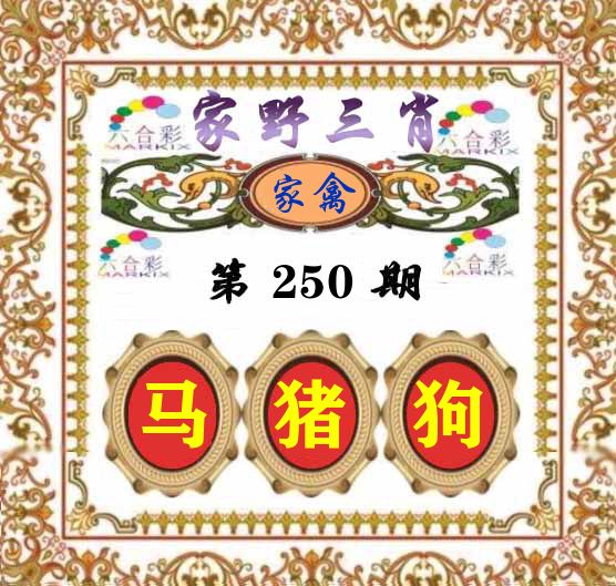 家野三肖 第250期