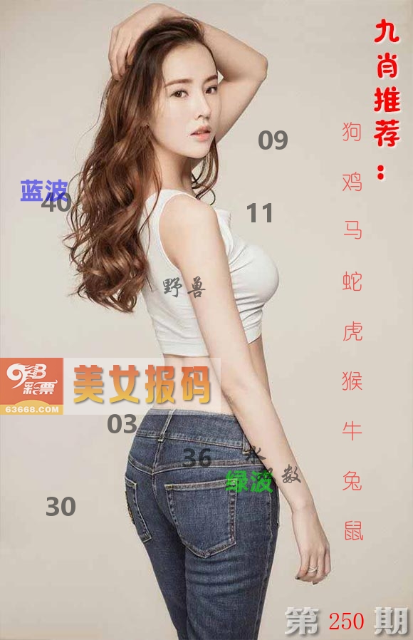 美女报码 第250期