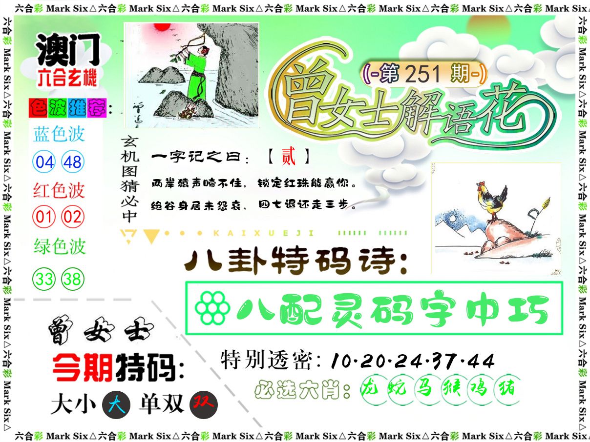 曾女士解语花 第251期