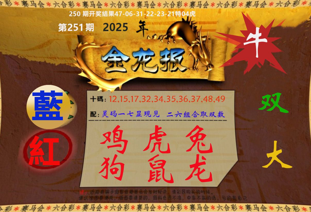 金龙报 第251期