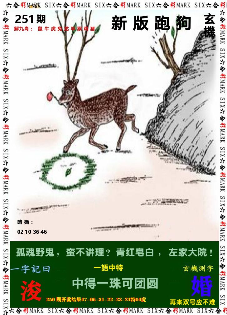 悟入其图 第251期