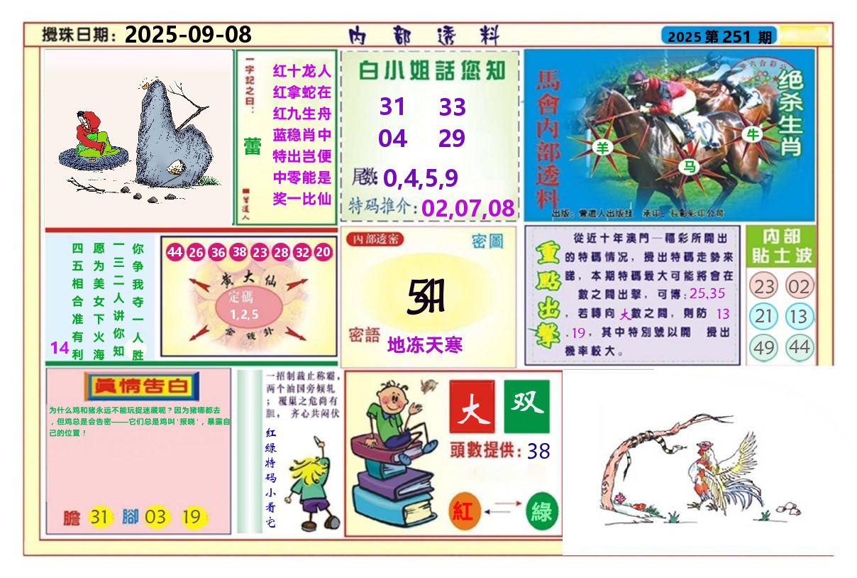 澳门内部透料A 第251期