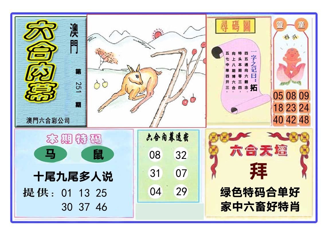 六合内幕 第251期