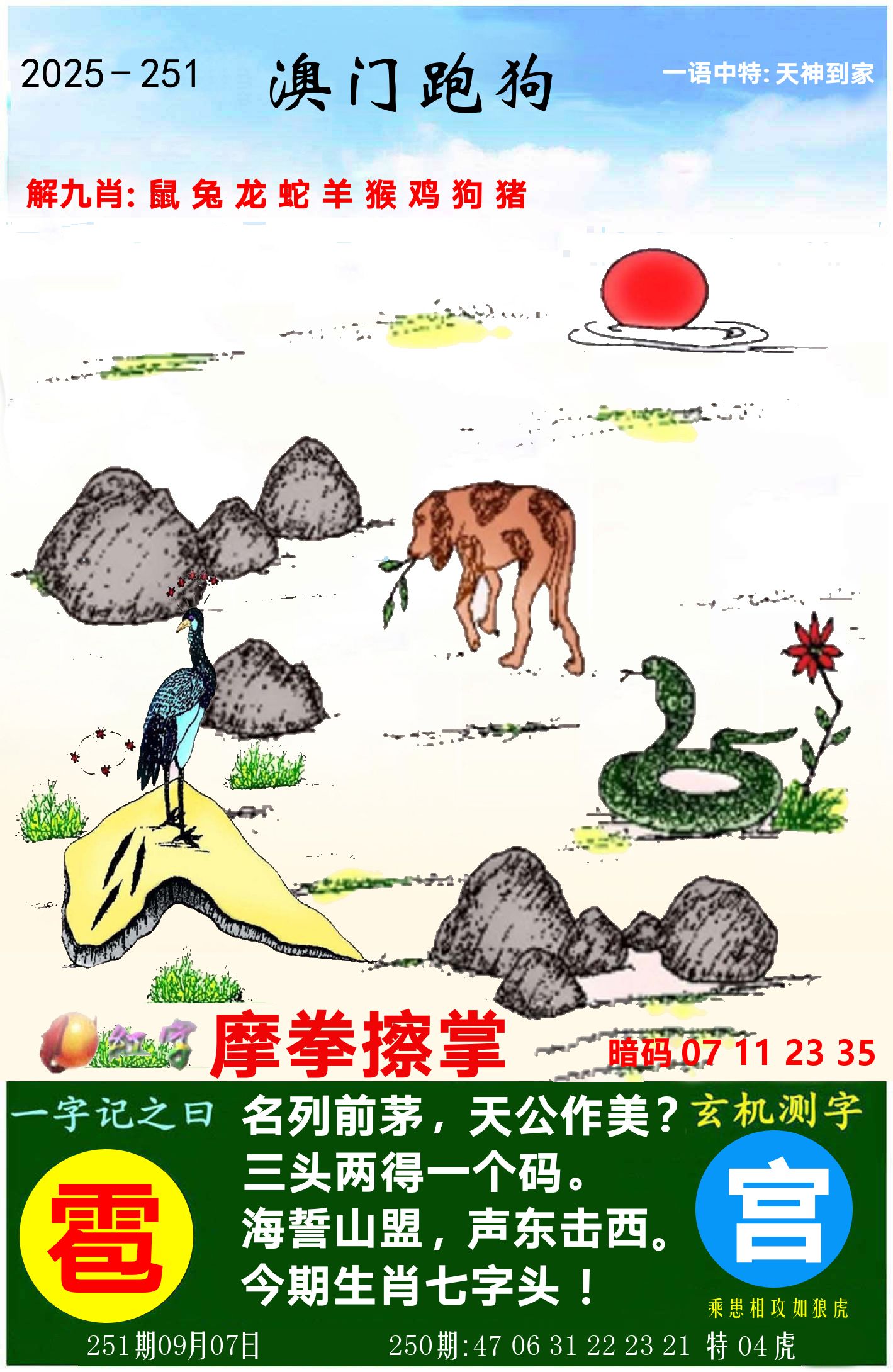 澳门跑狗图 第251期