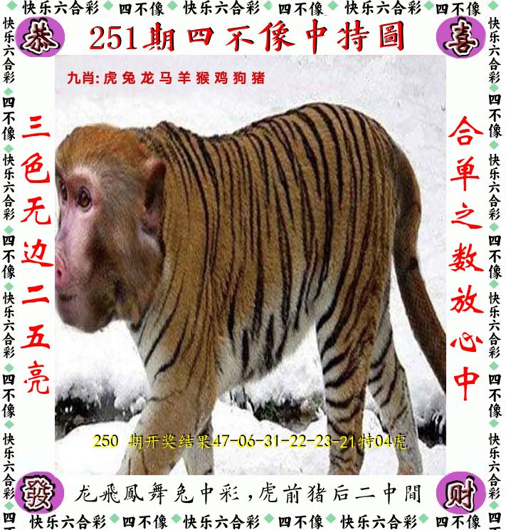 四不像 第251期