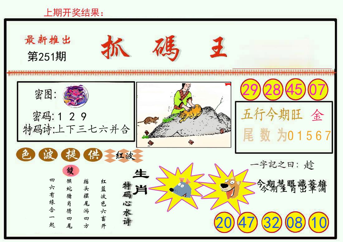 最新抓码王 第251期