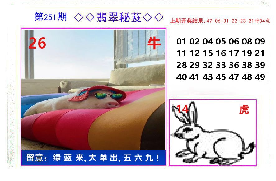 翡翠秘芨 第251期
