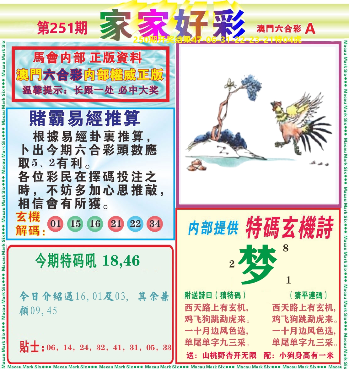 家家好彩A 第251期