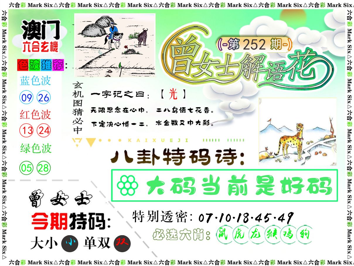 曾女士解语花 第252期